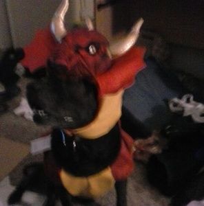 Meet your Posher, Stacey